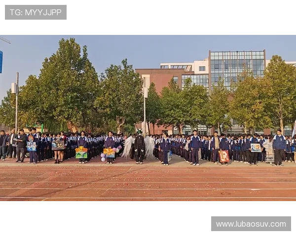 北京篮球队的拼搏之路与梦想追逐的精彩历程分析