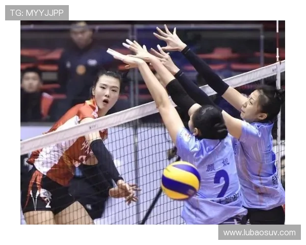 北京排球队配合问题引发热议球迷对战术和默契提出不同看法