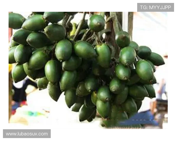 槟榔上的足球明星们如何影响我们的生活与文化 槟榔上的足球明星们如何影响我们的生活与文化