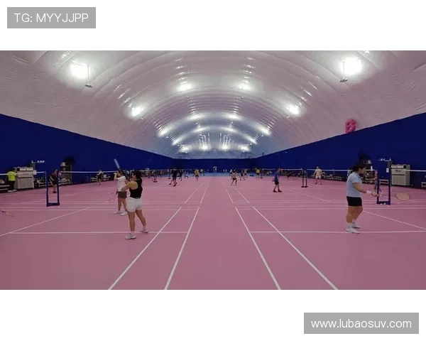 深圳羽毛球队的速度挑战与突破探索之路